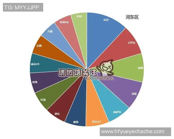 独家分析：成都排球队的状态对比